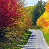 Spring Drive Nature Garage Door Cover - GarageBuddy