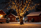 How to Match Christmas Outdoor Décor with Your House Colors - GarageBuddy