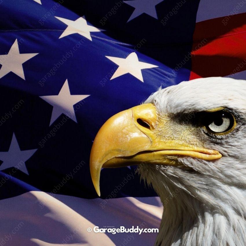 American Bald Eagle & US Flag | Patriotic Garage Door Cover