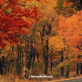 Autumn Road | Nature Garage Door Cover
