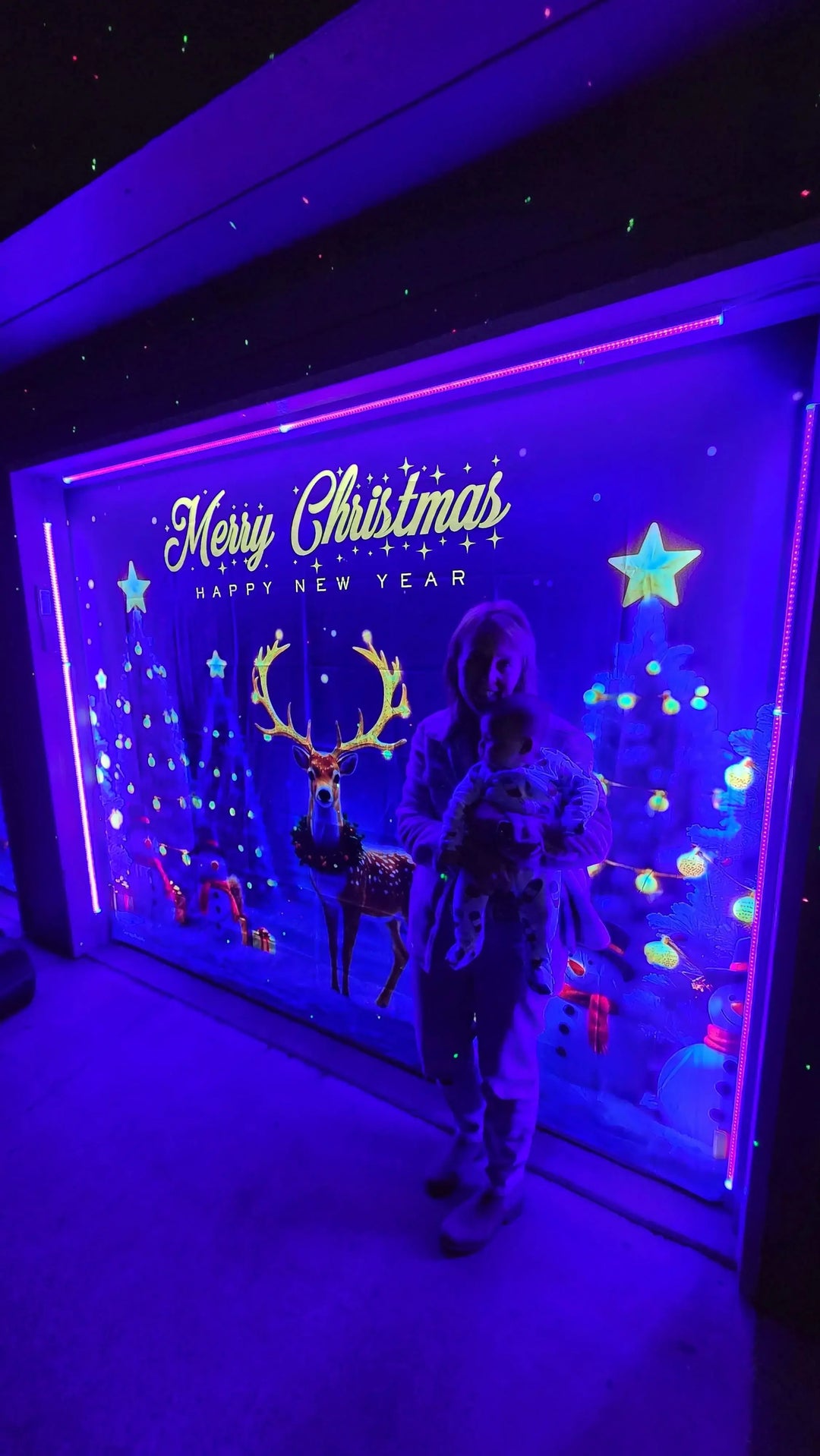 Customer garage door cover photo 2